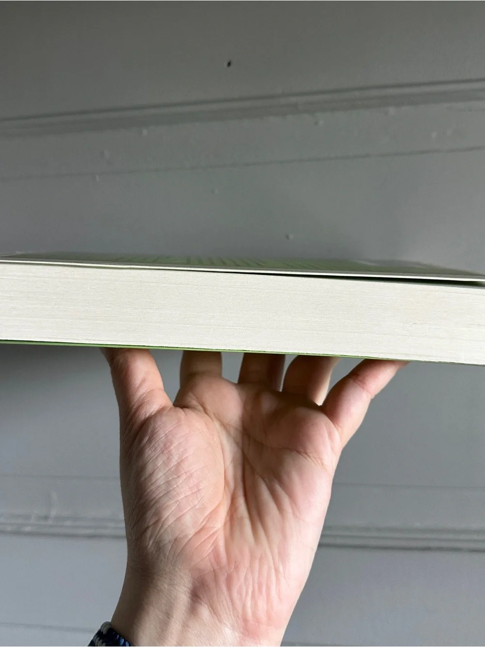 The Suitors by Cécile David-Weill | paperback